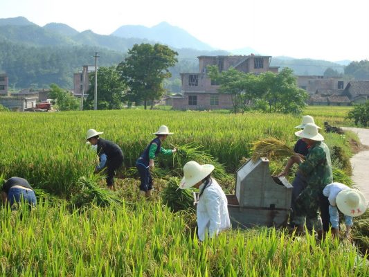 乡镇公务员开启“春招”，岗位要求不高，但有2个现实问题