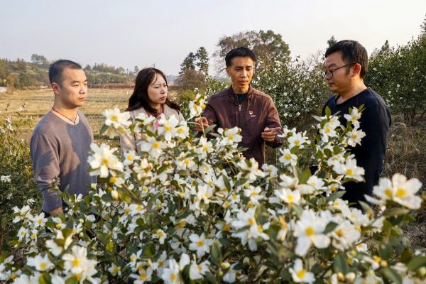 乡镇公务员春季开始招人，岗位多有编制，但要面对2个现实问题