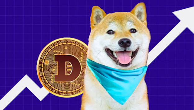 一个doge币多少米？doge币行情速递今日(现价2.9143元)